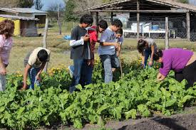 Curso del Prohuerta: certificados de 2016 están a disposición en la subsecretaría de educación