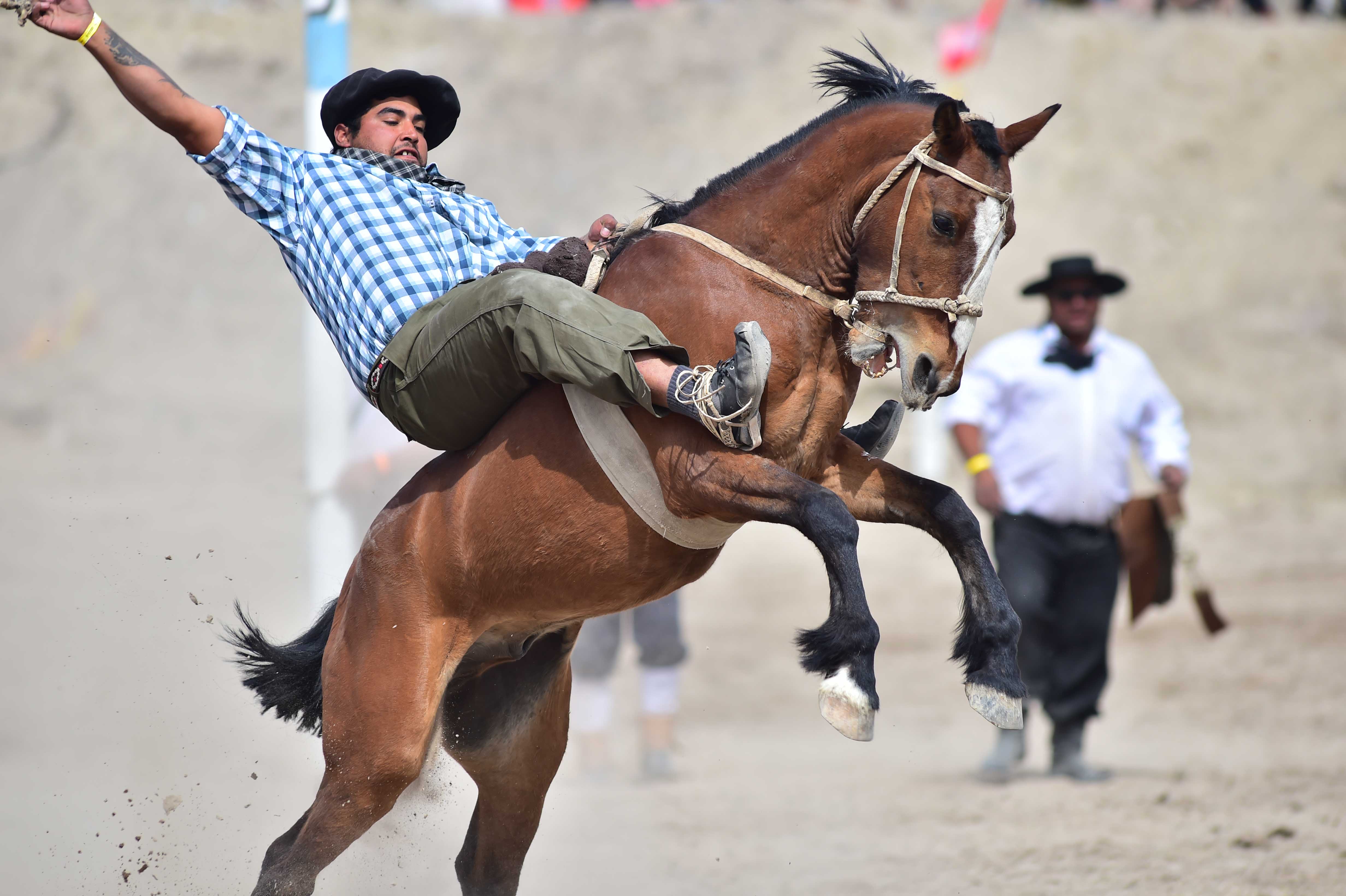 Fiesta nacional del cordero: por primera vez se elegirá al “mejor emprendado” que participen del desfile gaucho