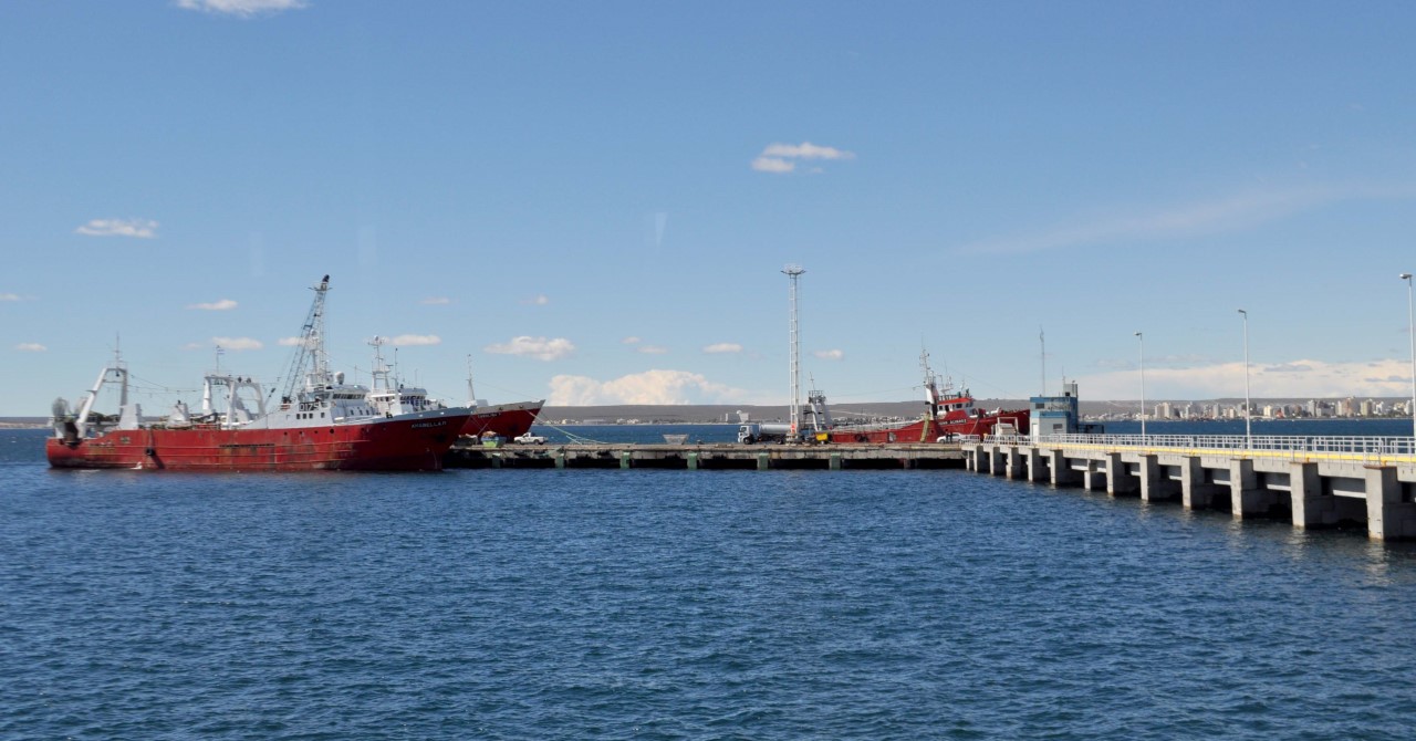 Visitas Guiadas Gratuitas a los Muelles de Madryn