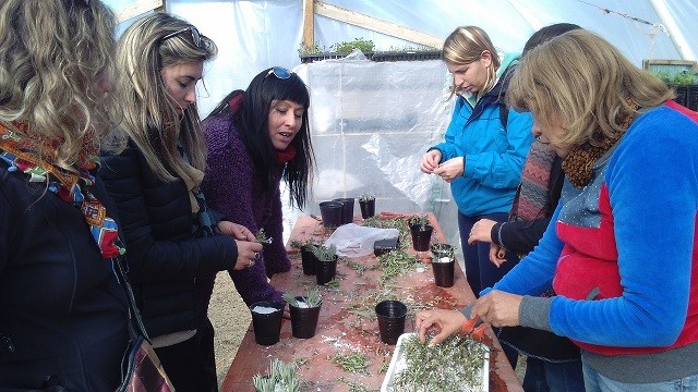 Taller “Ambiente y la Salud a partir de la Huerta”