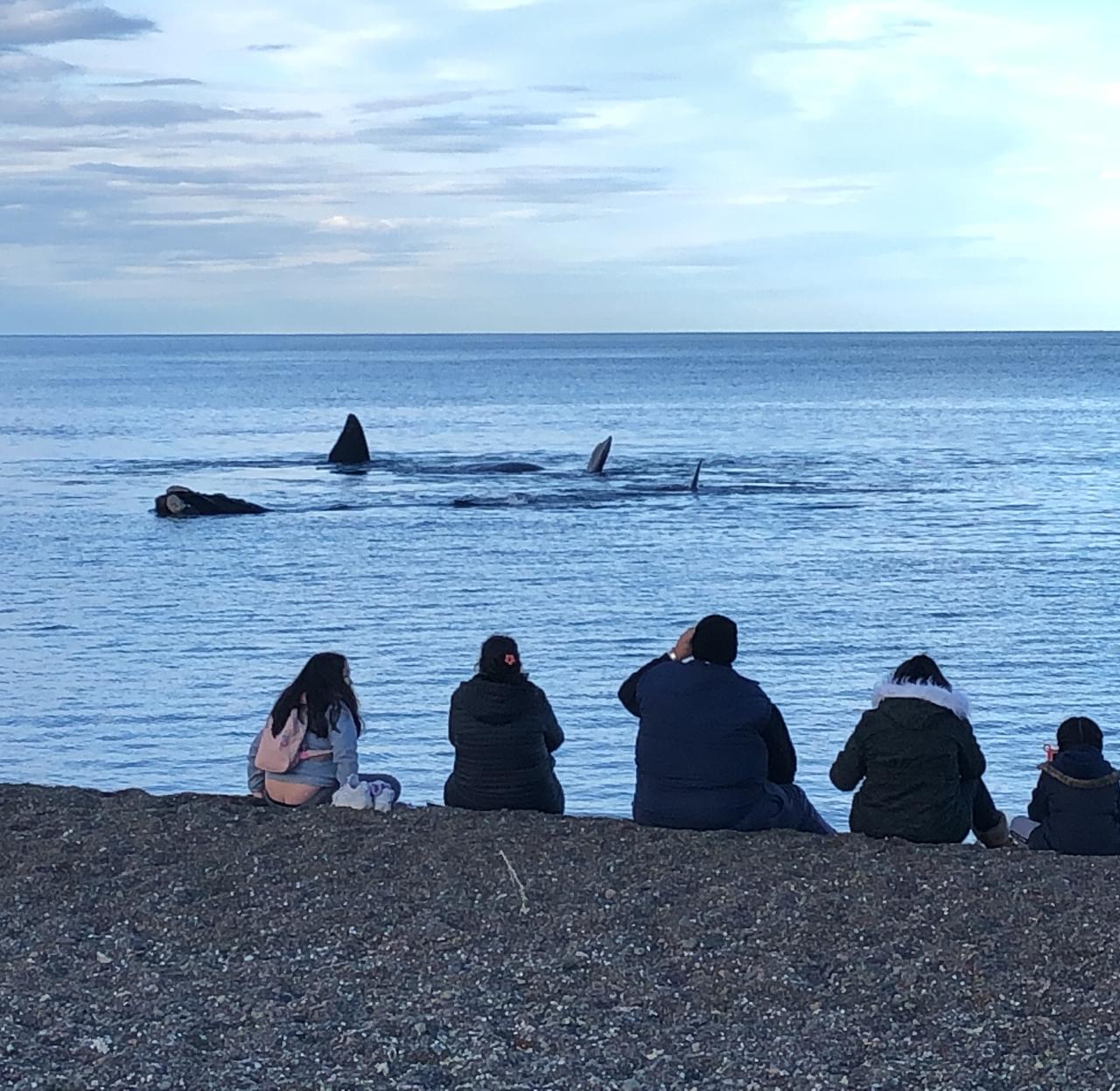 Puerto Madryn vivió un fin de semana con destacadas actividades deportivas de nivel nacional e internacional