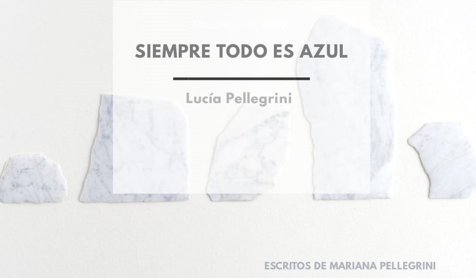 Se podrá visitar la muestra de la artista visual Lucía Pellegrini