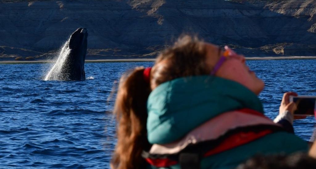 POST COVID 19: OPERADORES TURÍSTICOS DE CÓRDOBA SE CAPACITARON VIRTUALMENTE SOBRE PUERTO MADRYN