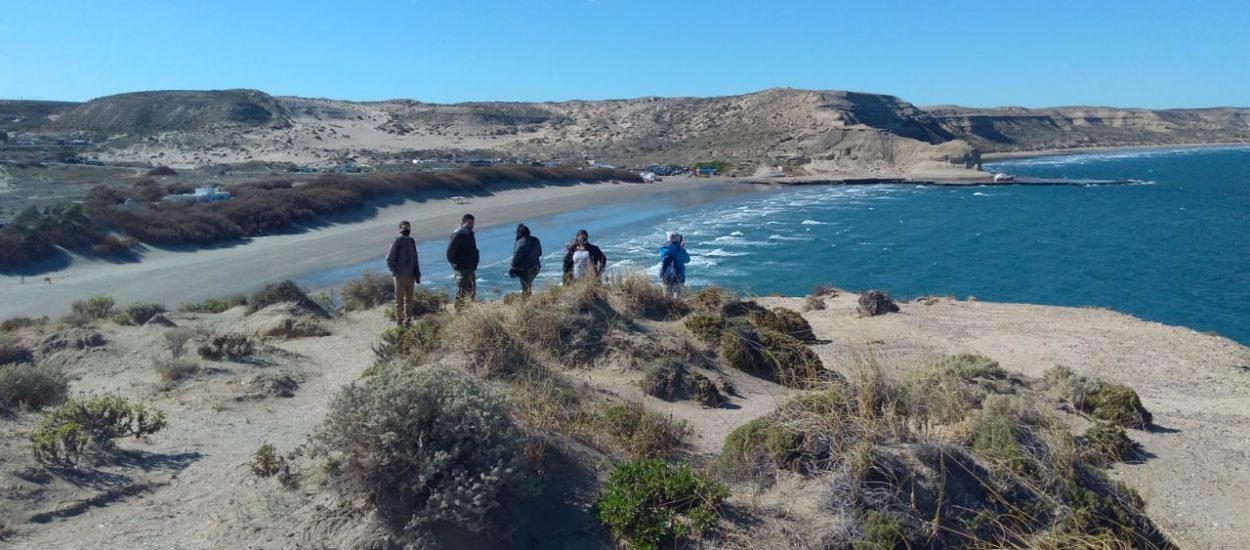 PENÍNSULA VALDÉS: PLANIFICAN SENDERO DE TREKKING HASTA LA LOBERÍA PUNTA PIRÁMIDE