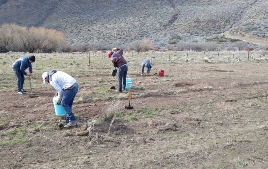 PROVINCIA Y MUNICIPIO DE EL MAITÉN COORDINAN ACCIONES PARA AMPLIAR EL BOSQUE COMUNAL