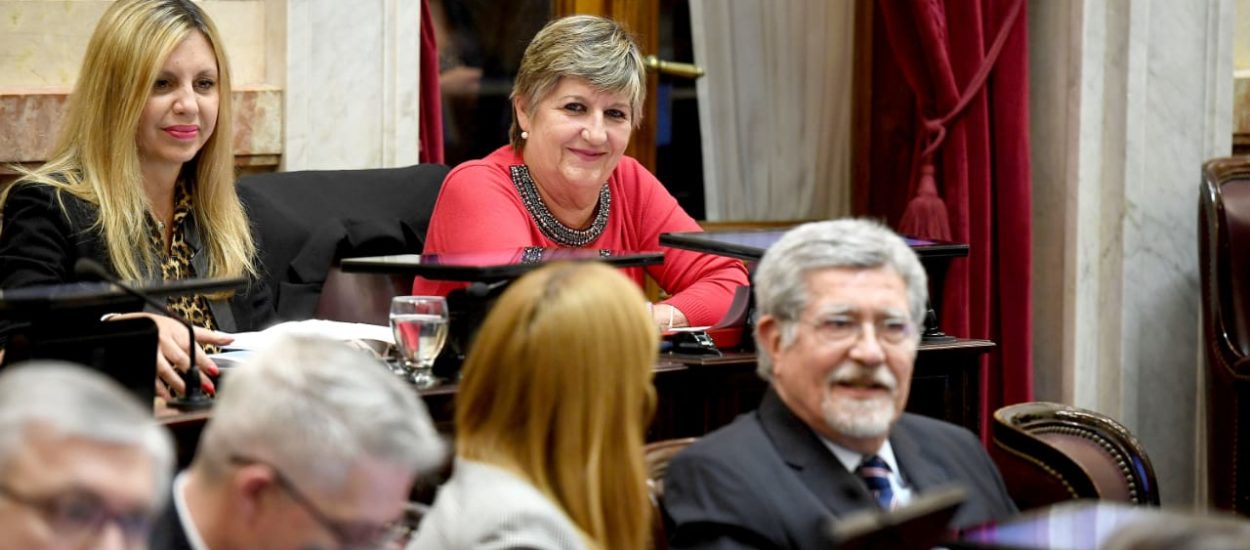 LA SENADORA NANCY GONZÁLEZ PRESENTÓ UN PROGRAMA NACIONAL PARA PREVENIR Y CONCIENTIZAR SOBRE EL CIBERCRIMEN