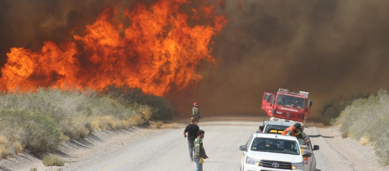 PREVENCIÓN DE INCENDIOS EN EL ANP EL DORADILLO