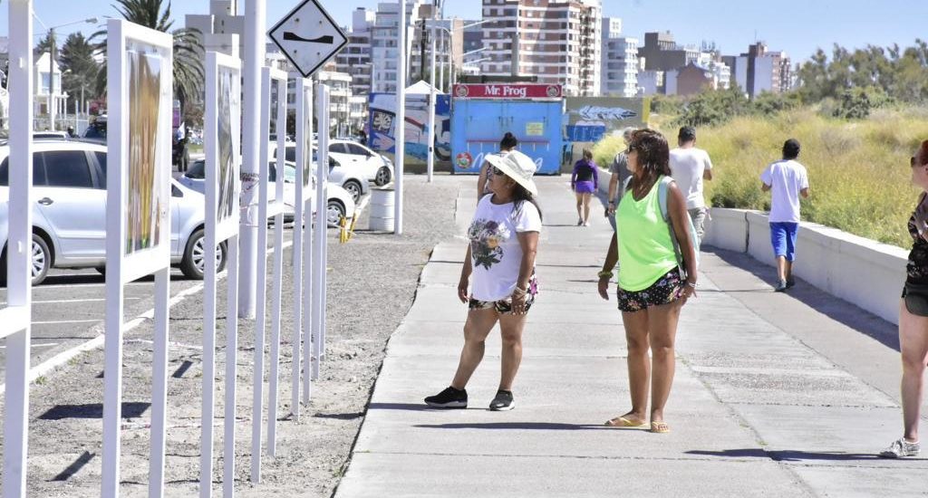 YA SE PUEDE VISITAR LA MUESTRA DE ARTE Y CONSERVACIÓN EN LA COSTA DE MADRYN