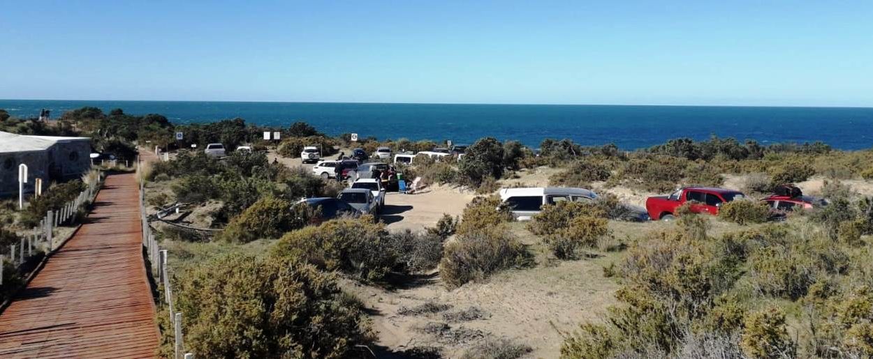 TURISMO: EXITOSO INICIO DE LA TEMPORADA DE ORCAS EN PUNTA NORTE Y CALETA VALDÉS