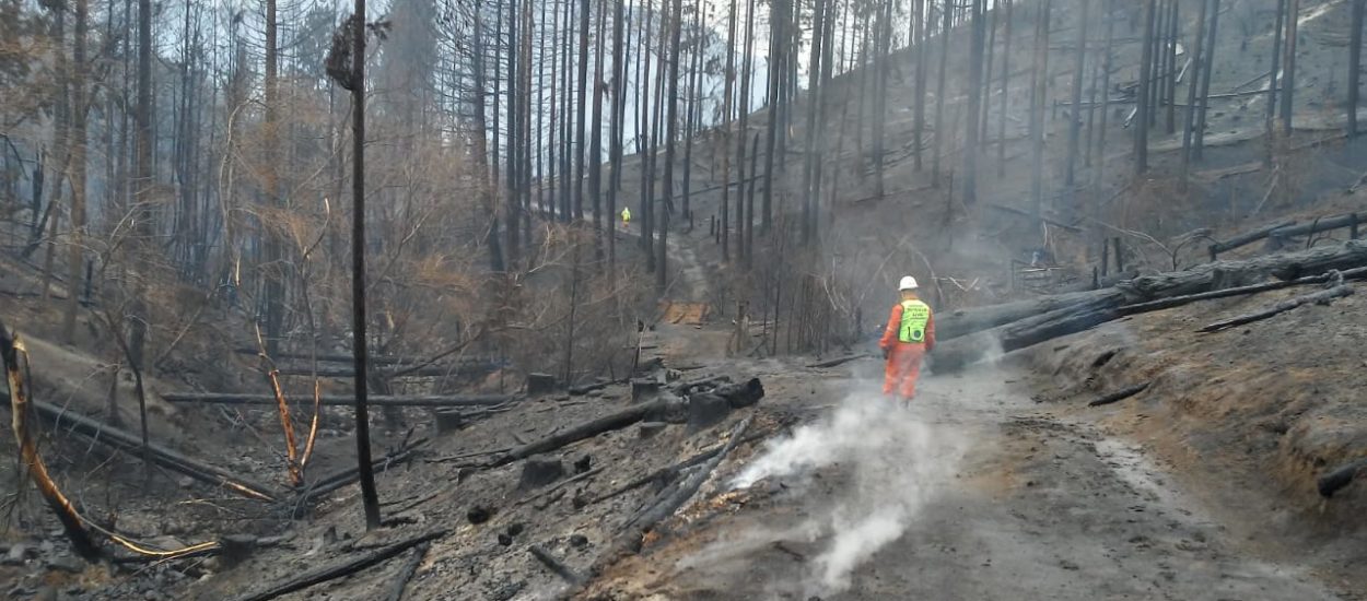 INCENDIOS EN LA CORDILLERA: TODAVÍA SE REGISTRAN FOCOS ACTIVOS CON POCA ACTIVIDAD