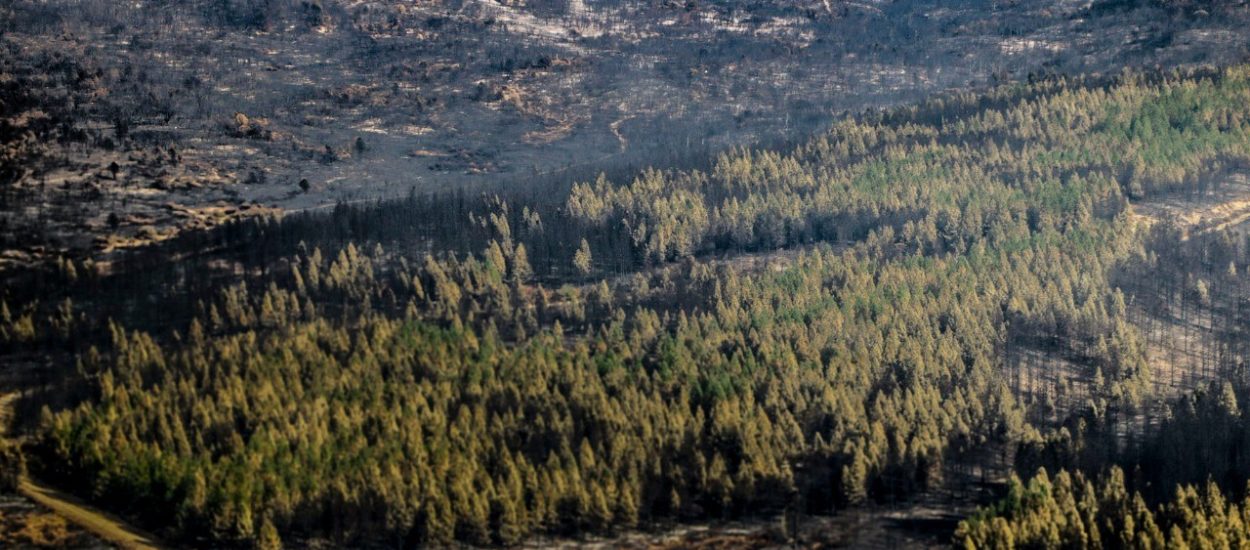 CORDILLERA: CON PERSONAL Y EQUIPAMIENTO, EL GOBIERNO PROVINCIAL SIGUE CON LOS OPERATIVOS DE CONTROL DEL FUEGO