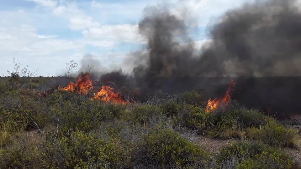 INCENDIOS FORESTALES CERCA DE DUPLICARSE EN MADRYN DURANTE 2020