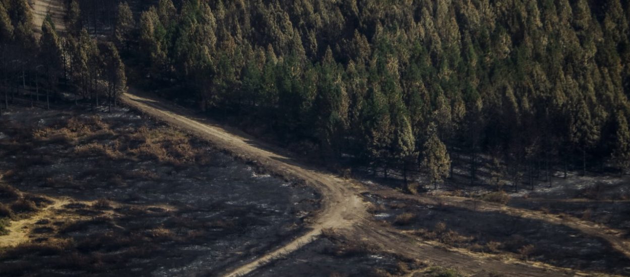 EL GOBIERNO PROVINCIAL TRANSFIRIÓ A EL HOYO, LAGO PUELO, EPUYÉN, EL MAITÉN Y CHOLILA LOS 150 MILLONES DE PESOS DEL ATN