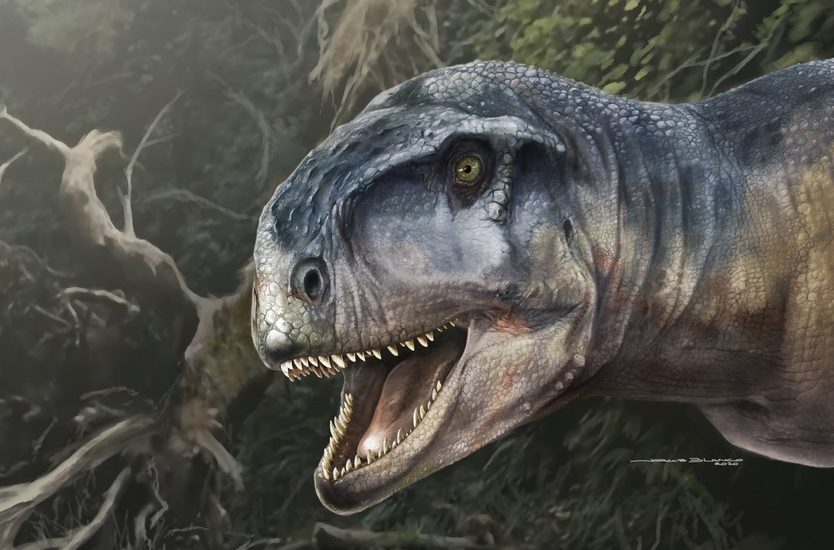 DESCUBREN UNA NUEVA ESPECIE DE DINOSAURIO EN LA PATAGONIA