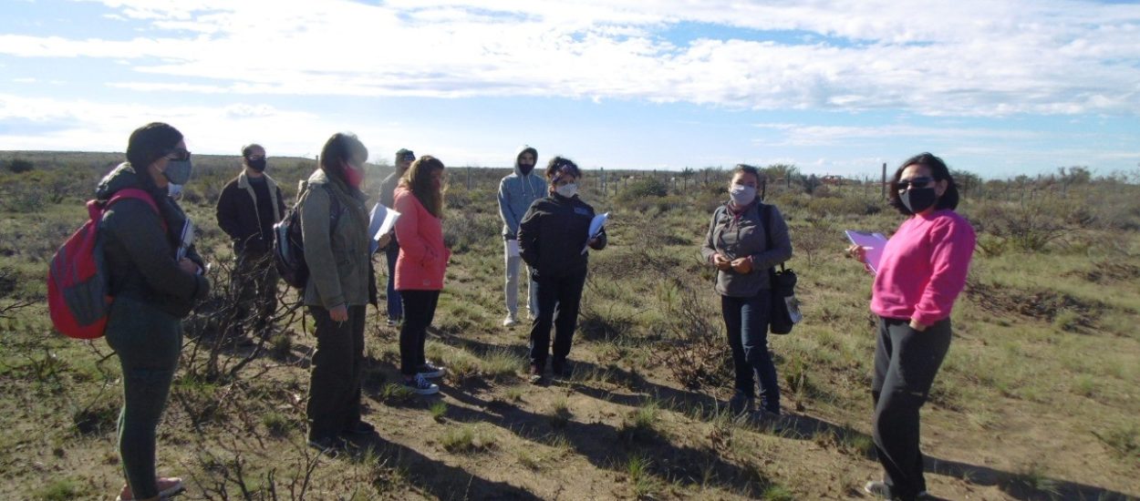 ESTUDIANTES DE LA LICENCIATURA EN ADMINISTRACIÓN DE ÁREAS NATURALES EVALÚAN EL ESTADO DE RECUPERACIÓN DE LA VEGETACIÓN DE EL DORADILLO