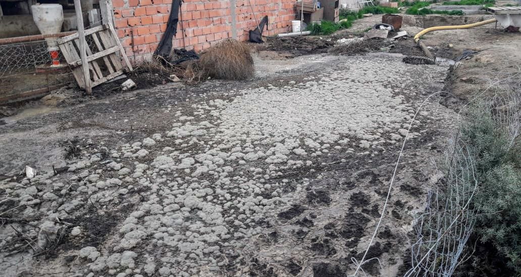 AMBIENTE EFECTUÓ INSPECCIÓN POR DENUNCIAS RELACIONADAS A UN ESTABLECIMIENTO DE CRÍA DE CERDOS DE RAWSON