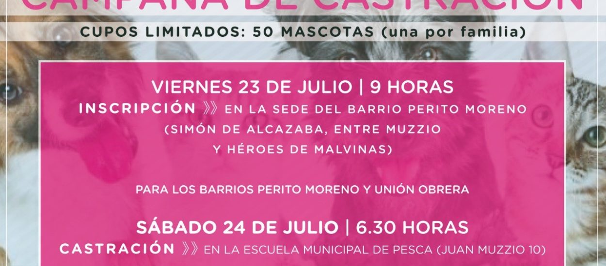 CAMPAÑA GRATUITA DE CASTRACIÓN PARA MASCOTAS DE LOS BARRIOS PERITO MORENO Y UNIÓN OBRERA