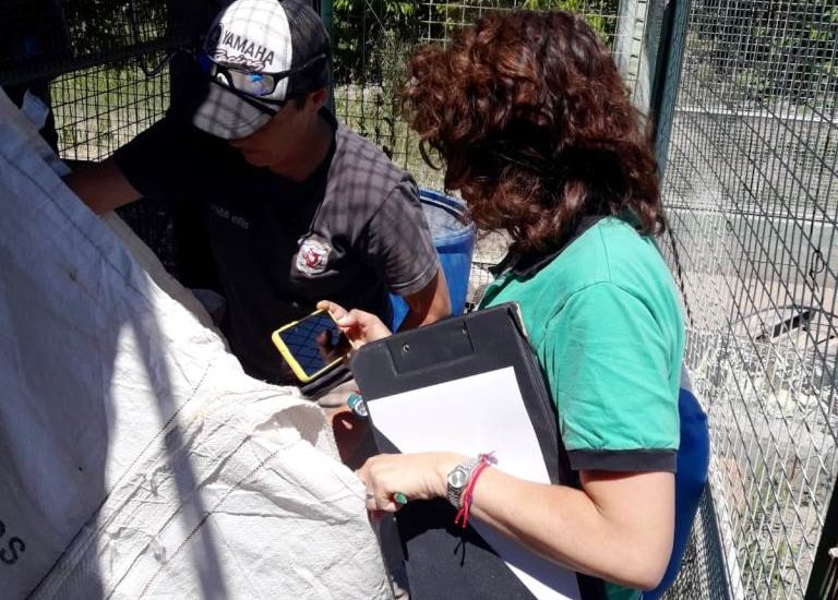 AMBIENTE RELEVA LA GESTIÓN DE ENVASES VACÍOS DE AGROQUÍMICOS DEL SECTOR CERECERO