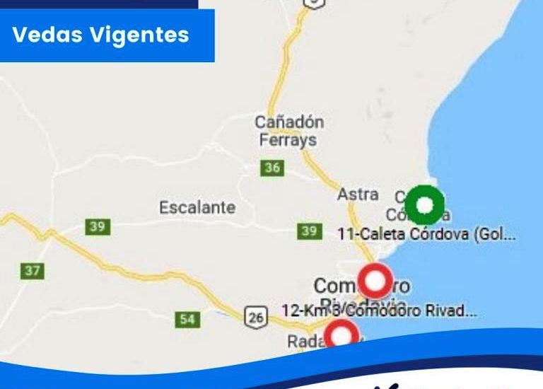 PESCA: SE SUSPENDE LA VEDA POR MAREA ROJA EN CALETA CÓRDOVA