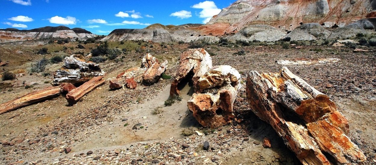 EN CHUBUT HAY CINCO ÁREAS NATURALES PROTEGIDAS QUE AYER CONMEMORARON SU ANIVERSARIO DE CREACIÓN