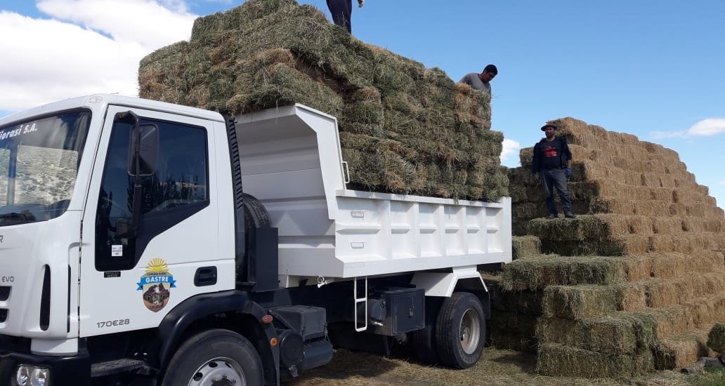 EL GOBIERNO DEL CHUBUT CONTINÚA CON LA PROVISIÓN DE FORRAJE PARA PEQUEÑOS PRODUCTORES