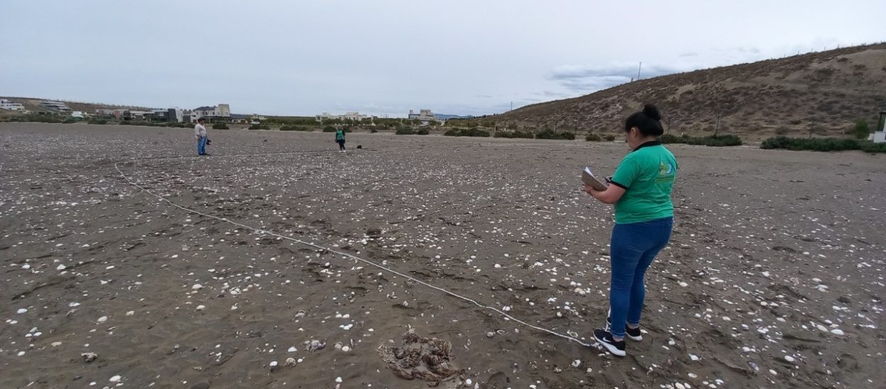 EL GOBIERNO DE LA PROVINCIA REALIZÓ CENSO DE RESIDUOS EN PLAYAS DE COMODORO RIVADAVIA