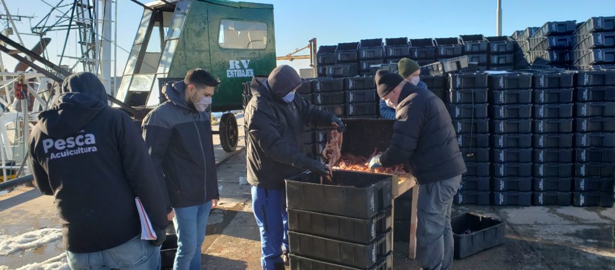 LA DIRECCIÓN NACIONAL DE COORDINACIÓN Y FISCALIZACIÓN PESQUERA HABILITARÁ LA INSCRIPCIÓN PARA LA PROSPECCIÓN DE LANGOSTINO A PARTIR DEL JUEVES 19 DE MAYO