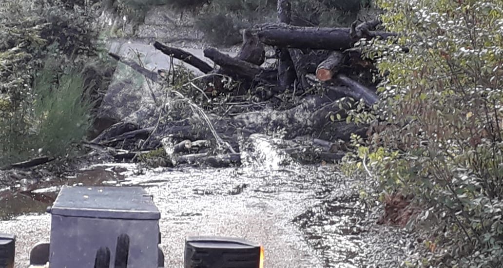 VIALIDAD PROVINCIAL INFORMÓ QUE ESTA TARDE QUEDARÁ HABILITADA LA RUTA PROVINCIAL Nº 71 EN EL PARQUE NACIONAL LOS ALERCES