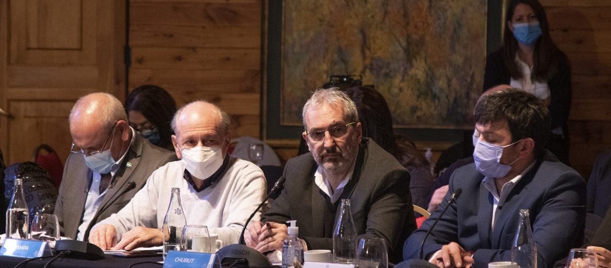 EL GOBIERNO DEL CHUBUT PARTICIPÓ EN VILLA LA ANGOSTURA DE UN NUEVO ENCUENTRO PRESENCIAL DEL CONSEJO FEDERAL DE SALUD