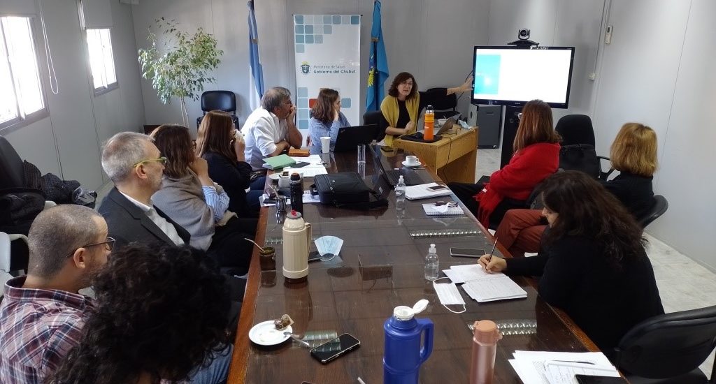 CHUBUT PRESENTÓ LA ESTRATEGIA PARA ELIMINAR LA TRANSMISIÓN MATERNOINFANTIL DE LAS INFECCIONES POR VIH Y SÍFILIS