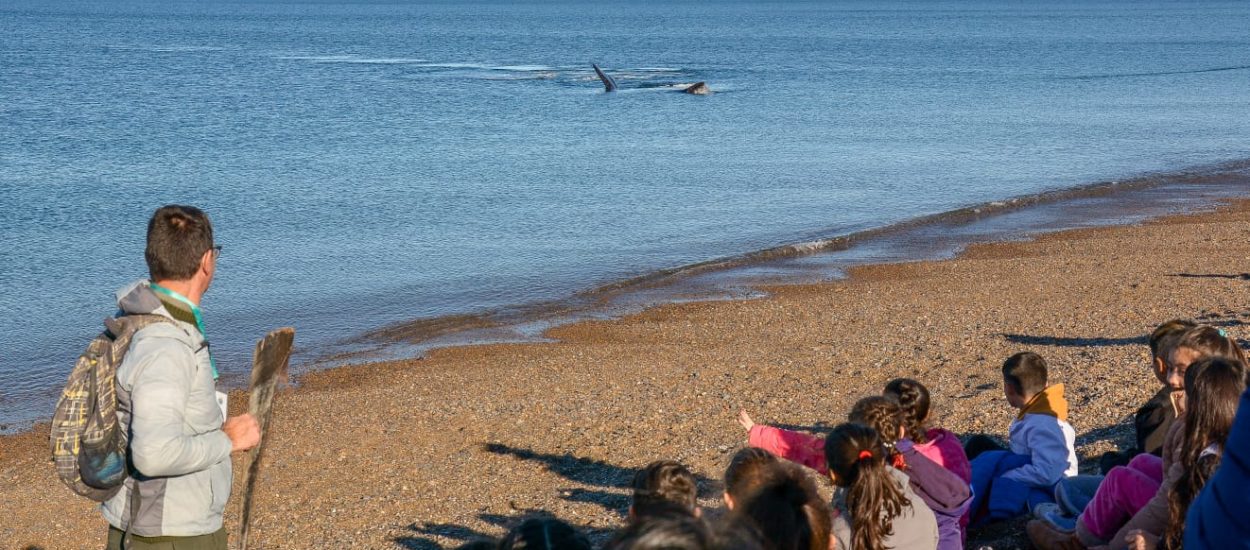 PROGRAMA “LOS CHICOS DE MADRYN RECIBEN A LAS BALLENAS”: COMENZARON LAS VISITAS AL ANP “EL DORADILLO”