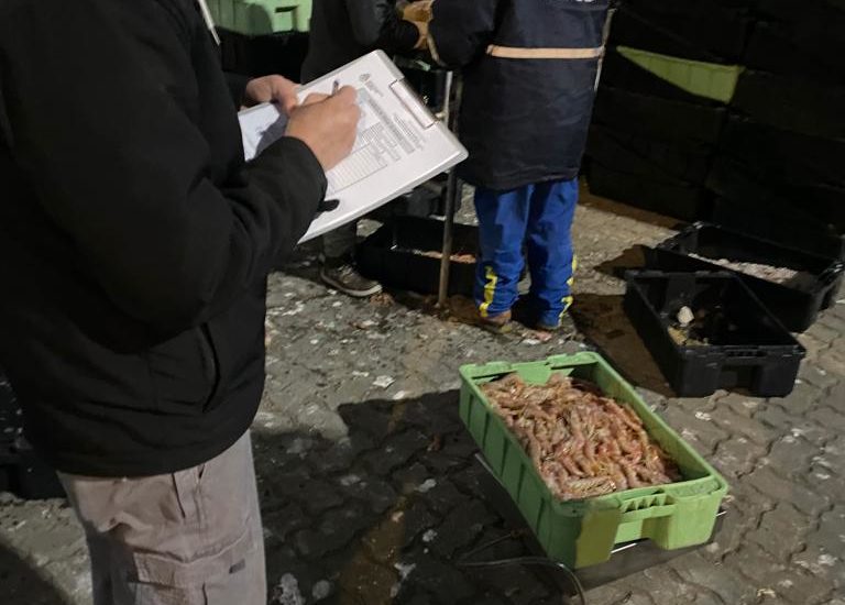 LA DIRECCIÓN NACIONAL DE COORDINACIÓN Y FISCALIZACIÓN PESQUERA LOGRA FISCALIZAR EL 99% DE LAS DESCARGAS DE LANGOSTINO