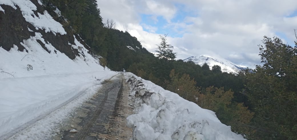 Vialidad Provincial trabaja en la Ruta Provincial Nº 71 tras un alud de nieve y barro que cayó sobre la calzada