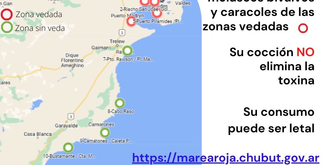 Provincia informa que continúa la veda por Marea Roja en los Golfos San José y Nuevo