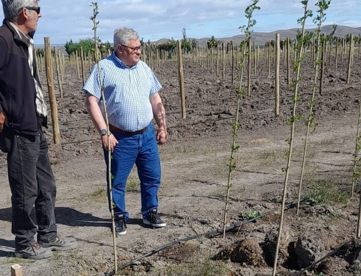 El Gobierno de la Provincia implementa un módulo de ensayo para potenciar los viñedos más australes del mundo