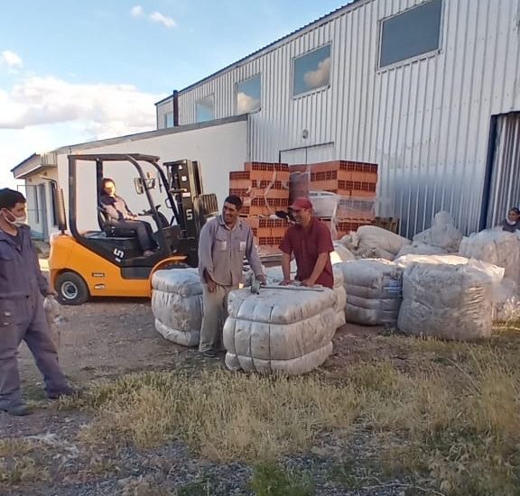 Con un precio récord, Chubut y Río Negro realizaron ventas conjuntas de lana mohair enmarcadas en el Programa Nacional de Ley Caprina 