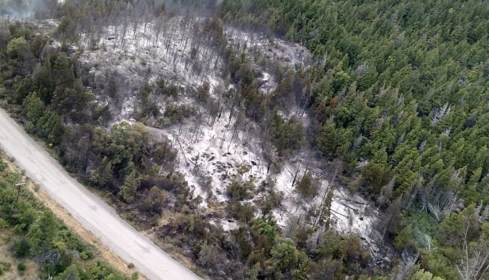 Provincia despliega operativo para controlar incendio en Los Cipreses