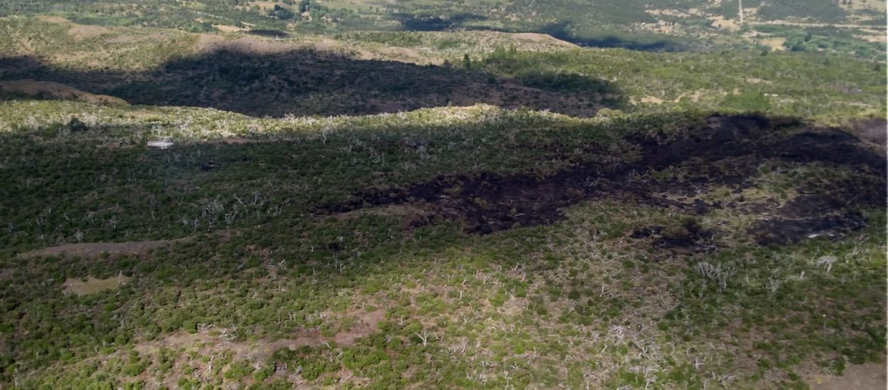 Brigadistas lograron contener el incendio en cercanías del Parque Nacional “Los Alerces”