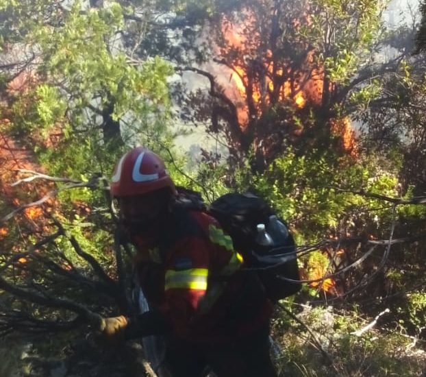 Brigadistas trabajan para controlar incendio en Lago Cholila