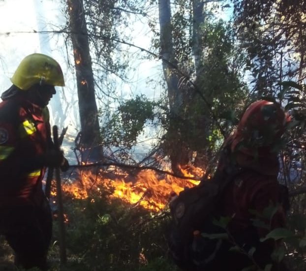 Brigadistas trabajan para controlar incendio en Lago Cholila