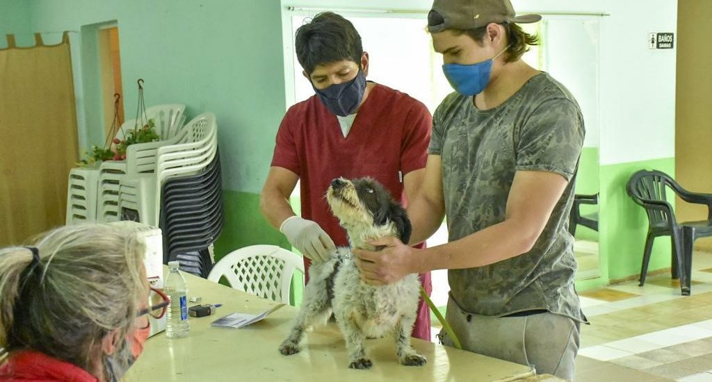 CAMPAÑA DE VACUNACIÓN ANTIRRÁBICA Y DESPARASITACIÓN PARA PERROS Y GATOS