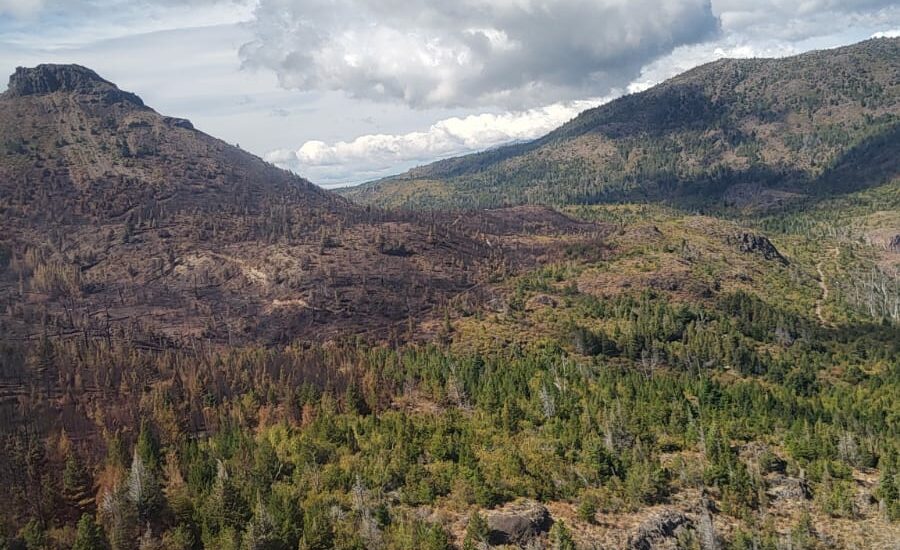 Tras un arduo operativo, brigadistas controlaron incendio en la zona de Epuyén