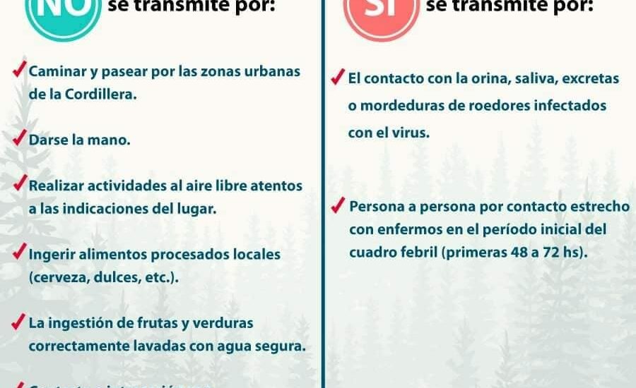 Salud confirmó un nuevo caso de Hantavirus en la localidad de El Maitén