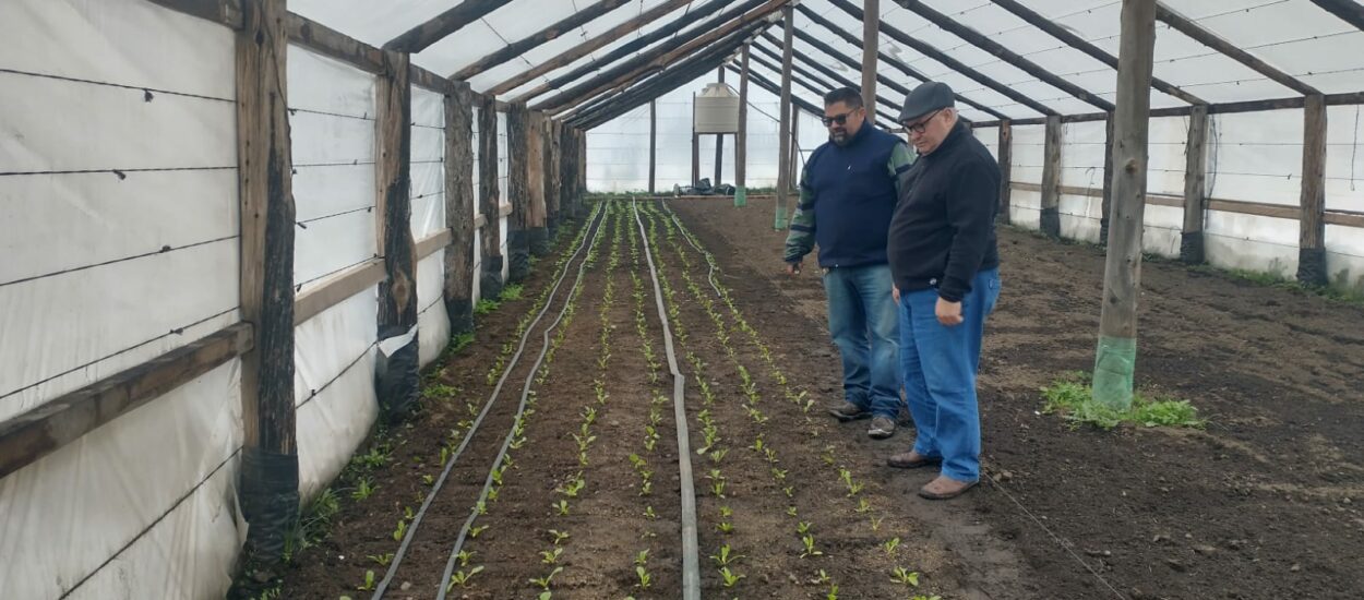 El Gobierno Provincial ejecuta con éxito el Programa de Agricultura Familiar en Cholila