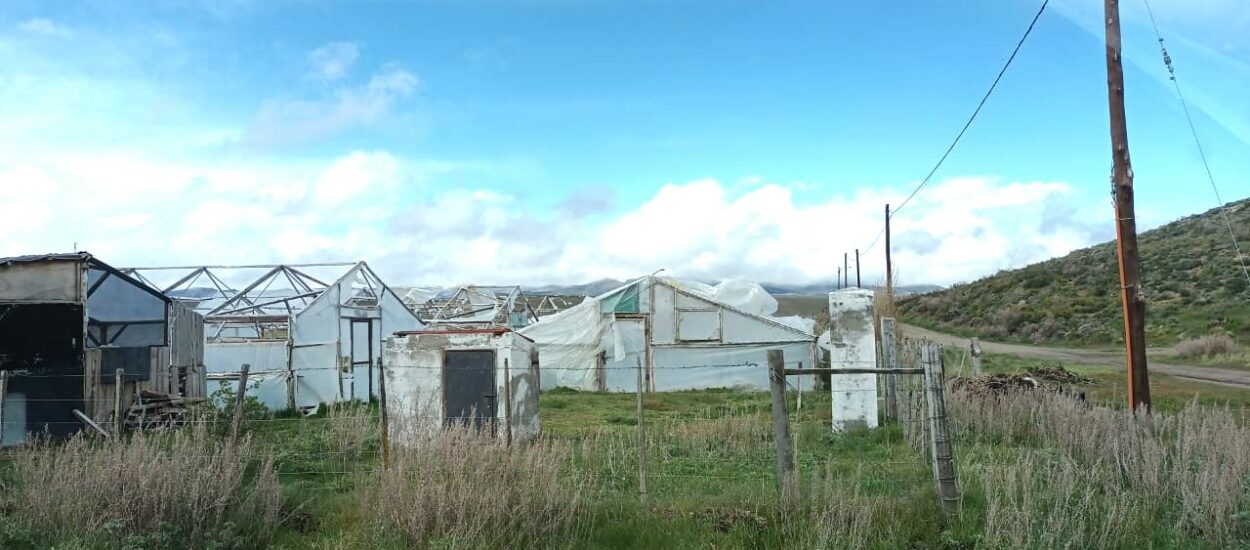 Producción: Provincia reconstruirá invernáculos en desuso en Tecka