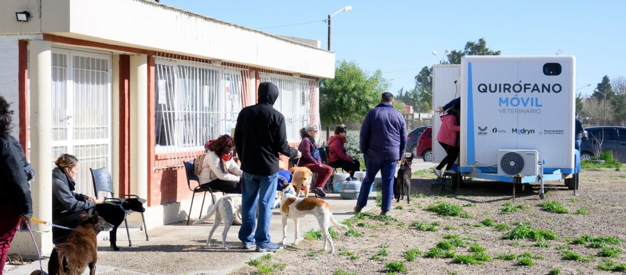 CONTINÚAN LAS CAMPAÑAS GRATUITAS PARA PERROS Y GATOS