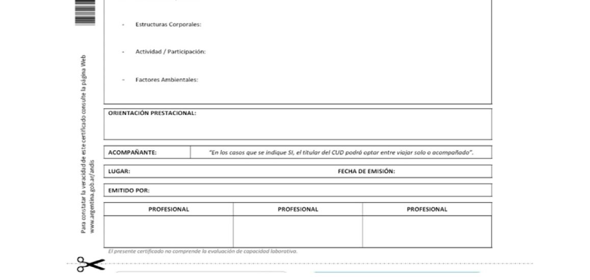 Salud: Chubut trabaja en la implementación del nuevo modelo de Certificado Único de Discapacidad