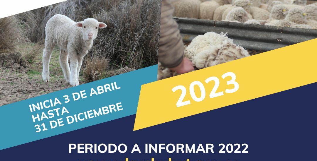 El Gobierno del Chubut recuerda que se encuentra vigente la Encuesta Pecuaria 2023