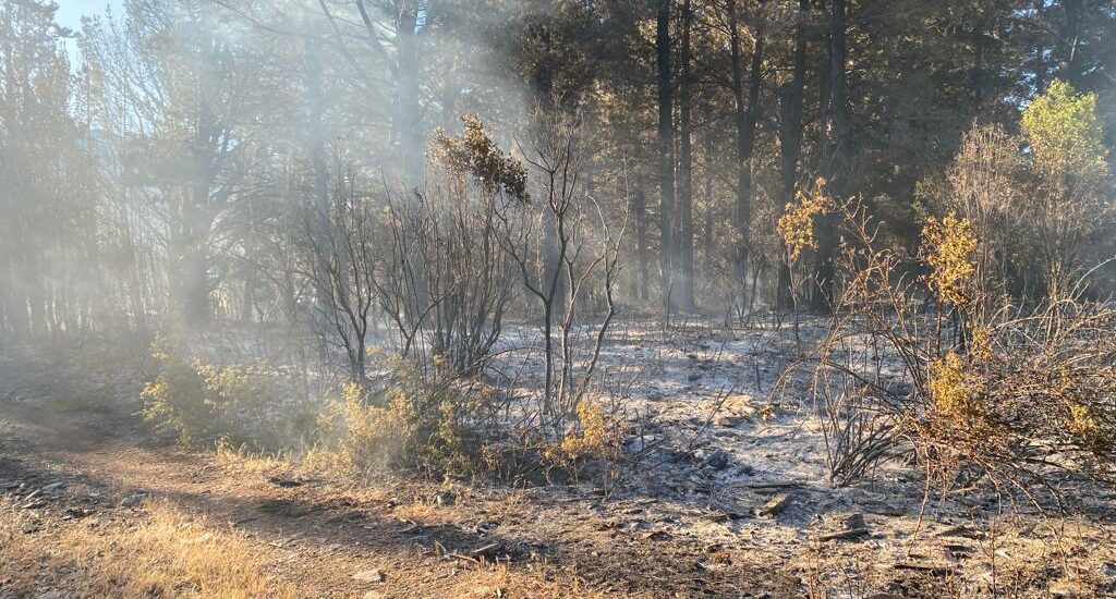 El Gobierno del Chubut controló el incendio en Epuyén