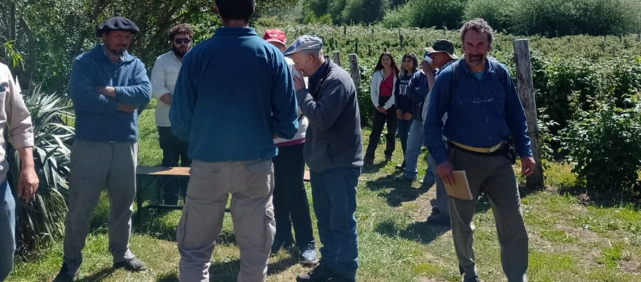 Sanidad Vegetal: Se realizó un taller sobre cosecha de frutas en El Hoyo